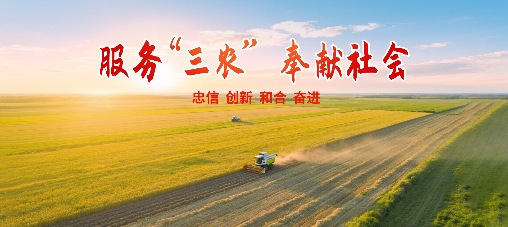 三農(nóng)