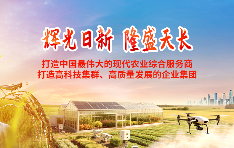 雙打造