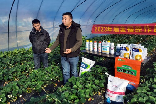”科技特派員“提供備耕技術(shù)支持_副本_副本.jpg